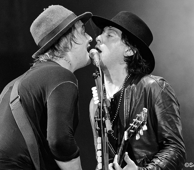 The Libertines en concert à Rock en Seine, le 29 août 2015