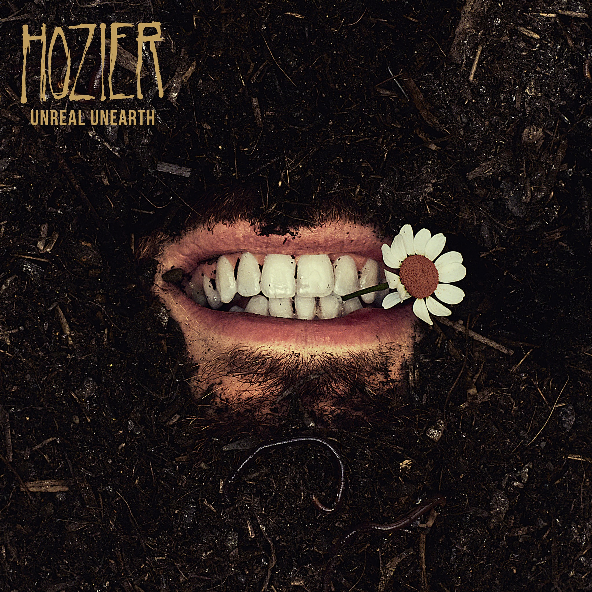 Hozier - Unreal Unearth par Julia Johnson