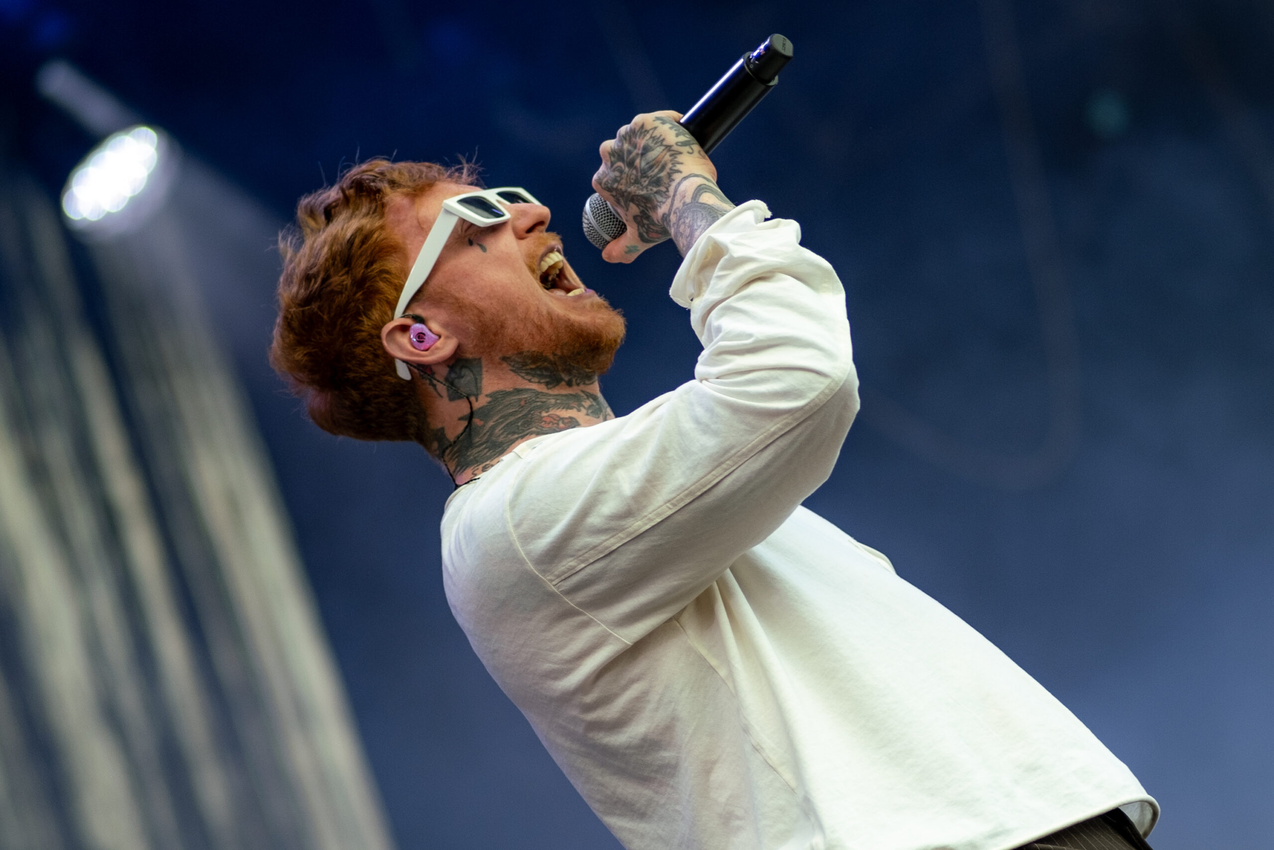 Frank Carter & The Rattlesnaskes @ Rock en Seine 2024