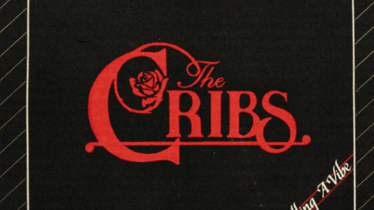 The Cribs - Selling a vibe