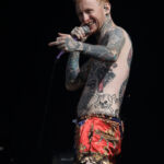 FRANK CARTER AND THE RATTLESNAKES - Download festival