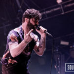 Foals
