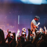 foals