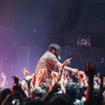 Foals