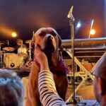 Photos - Peter Doherty & Frédéric Lo @ Le Trianon, 05.05.2022