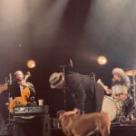 Photos - Peter Doherty & Frédéric Lo @ Le Trianon, 05.05.2022