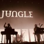 Jungle