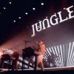 Jungle