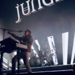 Jungle