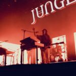 Jungle