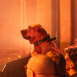 Peter Doherty @ Le Trianon, Paris, le samedi 26 avril 2025
